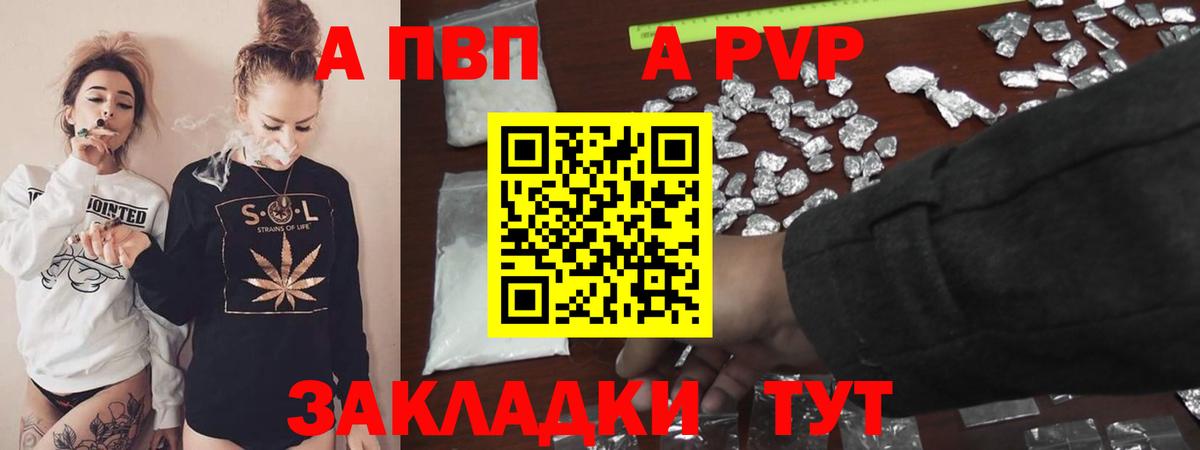 Альфа ПВП СК Хасавюрт