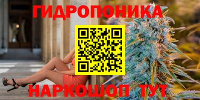 дмт Ливны