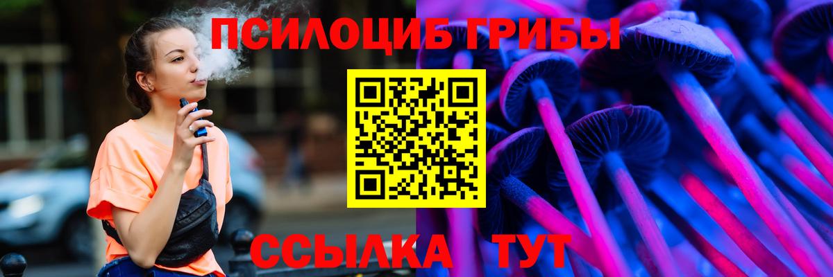 Галлюциногенные грибы Psilocybine cubensis Хасавюрт